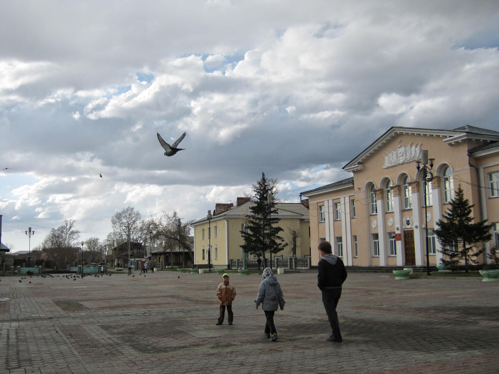 мебель в каргате нсо