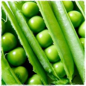 Kacang Polong http://manfaatnyasehat.blogspot.com/2014/03/kandungan-gizi-dan-manfaat-kacang-polong.html