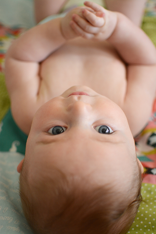 Ellis James, baby update - five months | My Darling Days Ellis James, baby update - five months | My Darling Days