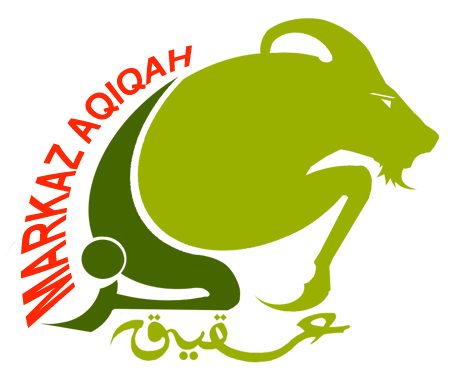 Logo Markaz markaz