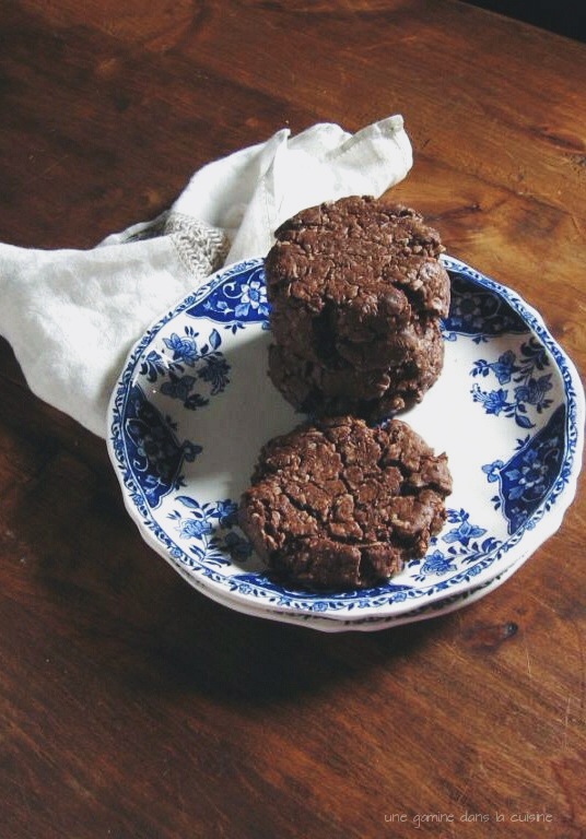 double chocolate coconut cookies | une gamine dans la cuisine 