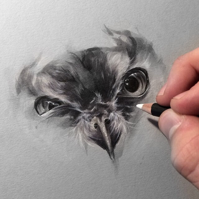 06-Owl-Eyes-Sol-W-Whiteside-Animal-Drawings-in-a-Dreamlike-State-www-designstack-co