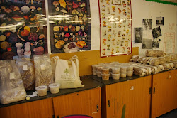 mushroom course cooker cultivation pressure still air box milkwood permaculture gathering spent weeks few equipment last