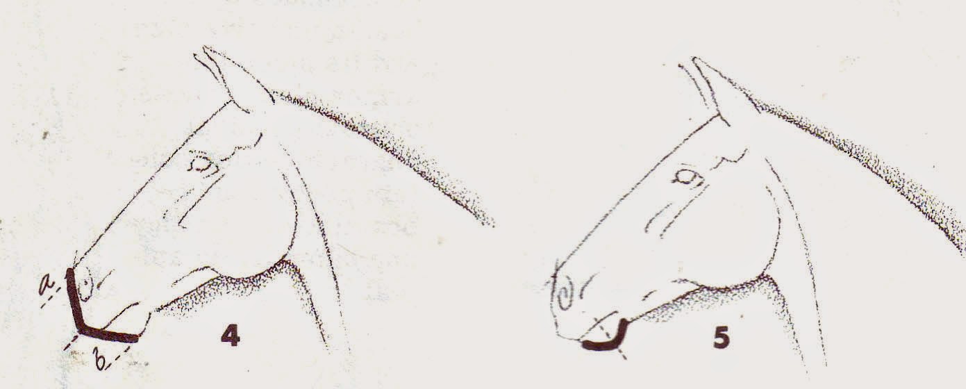 Прически для лошадей схемы