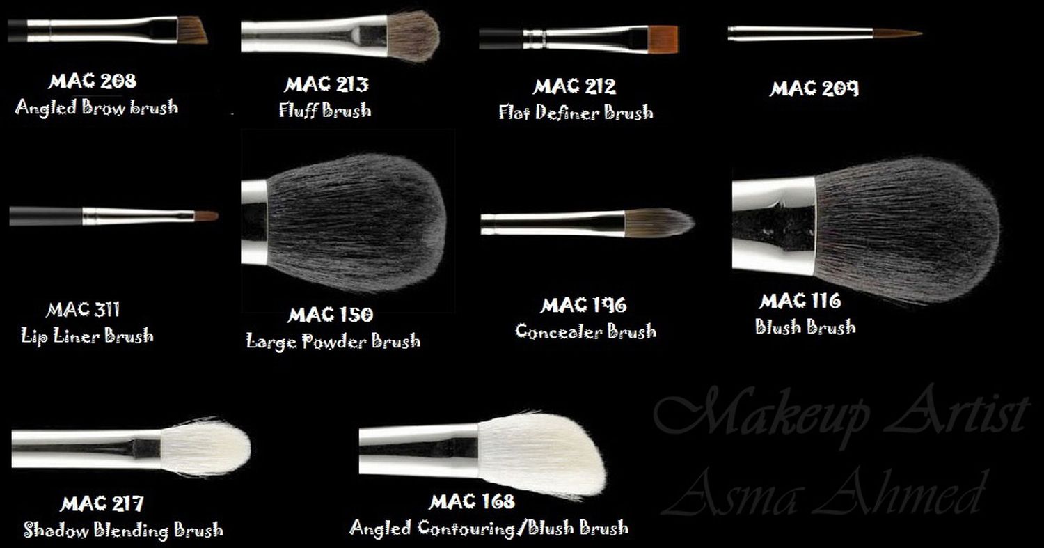 Makeup and Skin Care MAC Basic Brushes