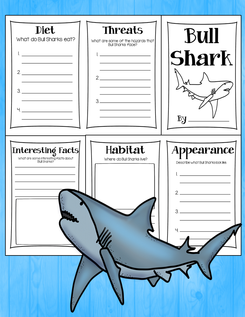 https://www.teacherspayteachers.com/Product/Shark-Research-Books-1713286