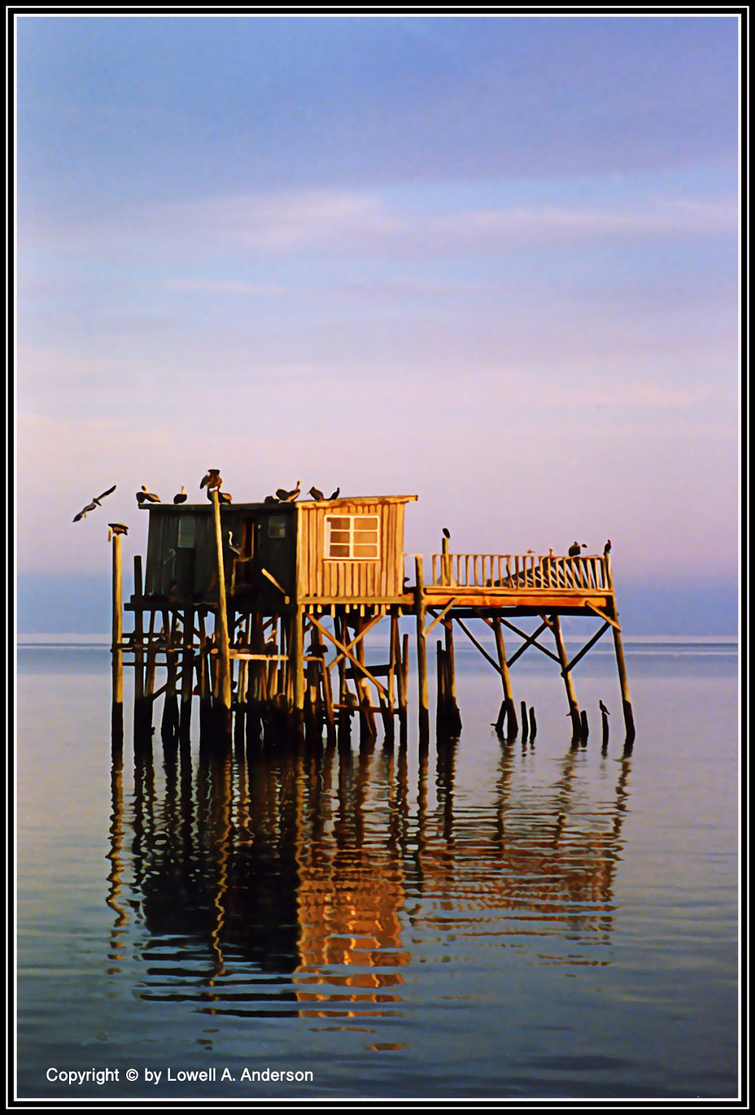 Cedar Key (Florida) Photos The "Honeymoon" Cottage Is About Over