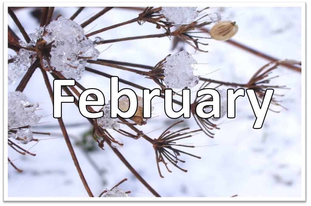 Февраль на укр. Февраль на английски. February картинки. С последним месяцем зимы. Февраль картинки.