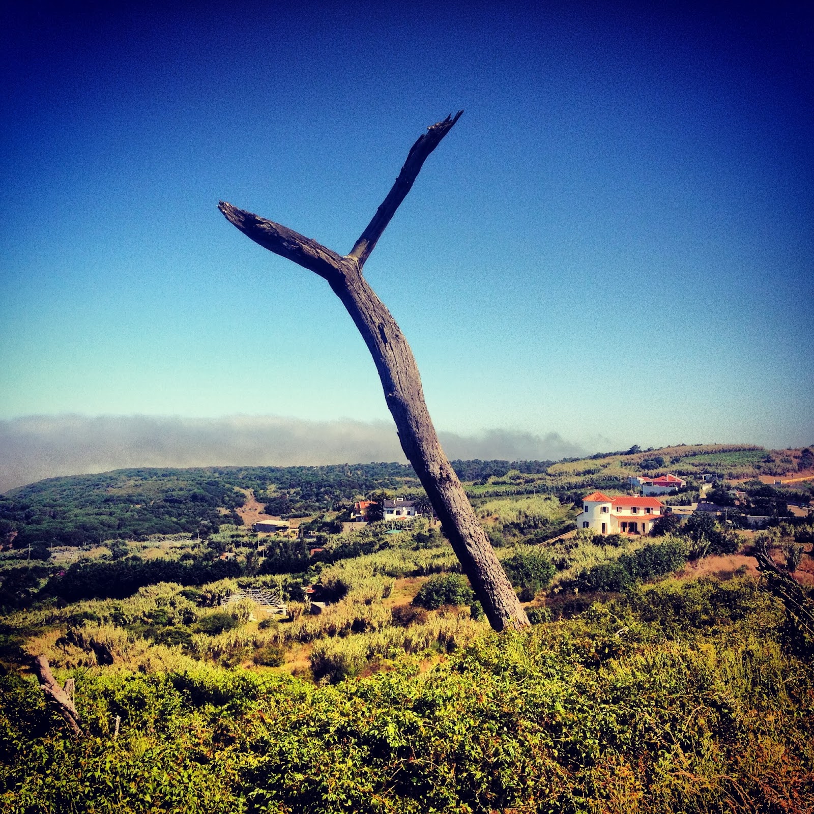 My Upcycled Life Terra Alta Portugal