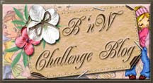 BnW Challenge blog