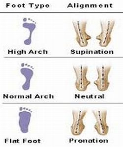 Best Womens Running Shoes Normal Arch Best Womens Running Shoes Normal Arch