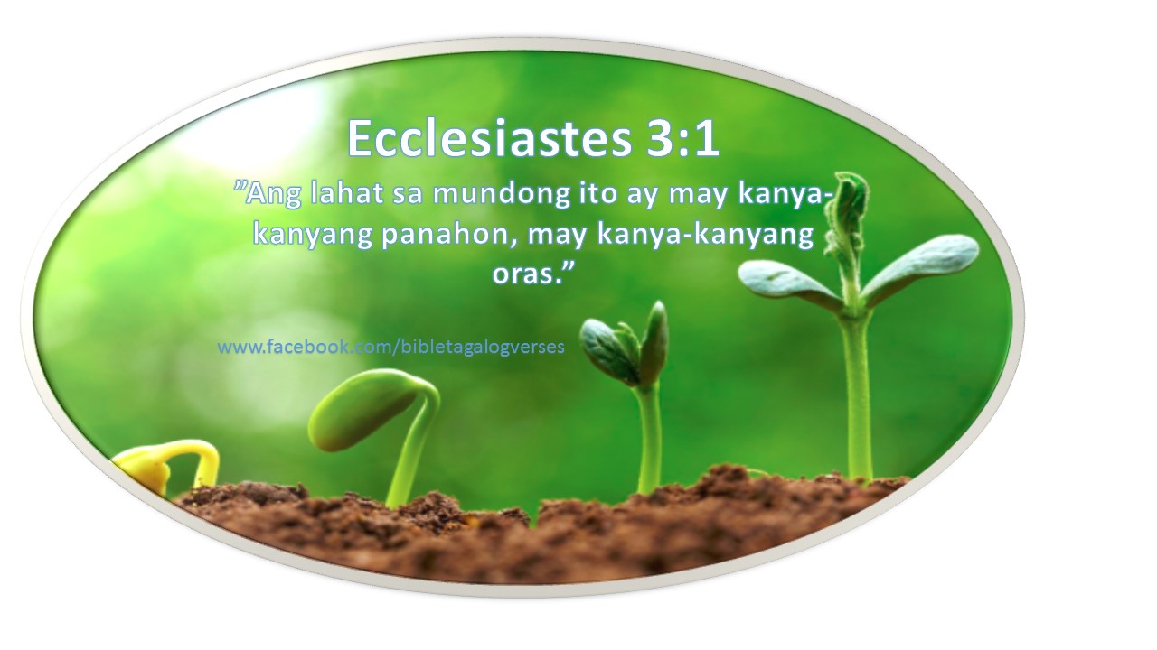 Ecclesiastes 3 1 BIBLE Tagalog Verses BIBLE TAGALOG VERSES ecclesiastes-3-1-bible-tagalog-verses-bible-tagalog-verses