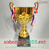 Cup Đồng Bóng Đá Đẹp Giá Rẻ - Mã BBT1320