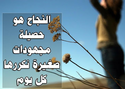 الف مبروك النجاح والتفوق الف مبروك النجاح والتفوق