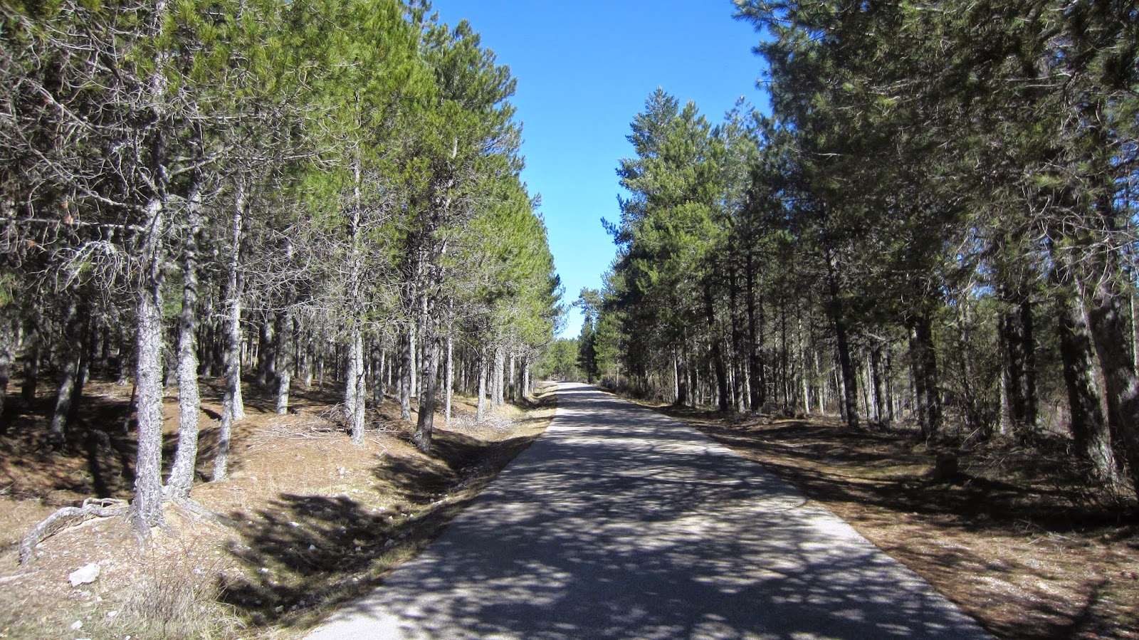 Peña del Acebo (III)