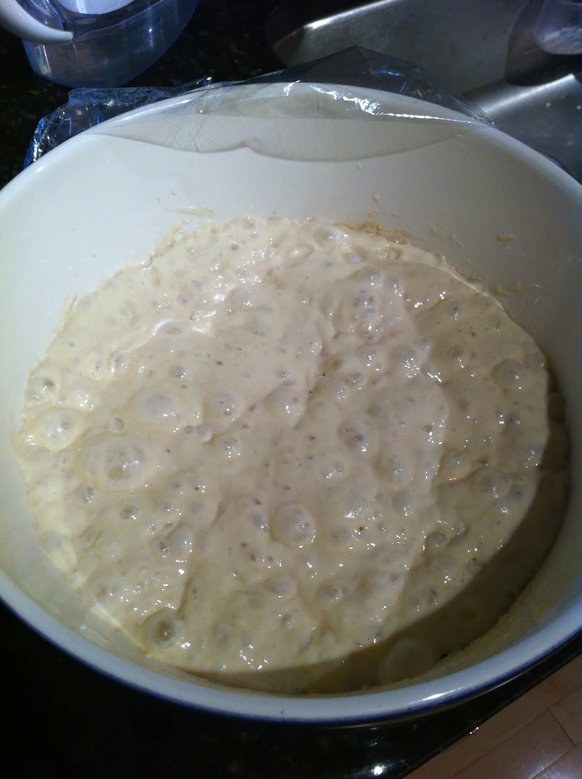 210 Degrees Overnight White Bread Flour Water Salt Yeast