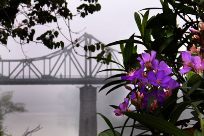 Resultado de imagem para ponte de ferro em blumenau