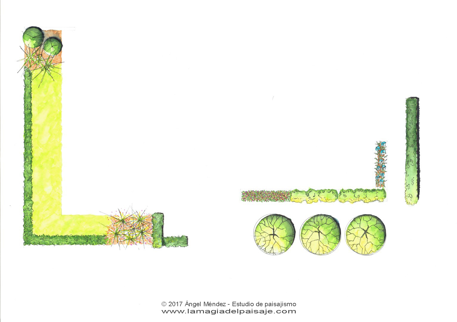 TUTORIAL: Veamos cómo se hizo este plano de jardinería PASO a PASO