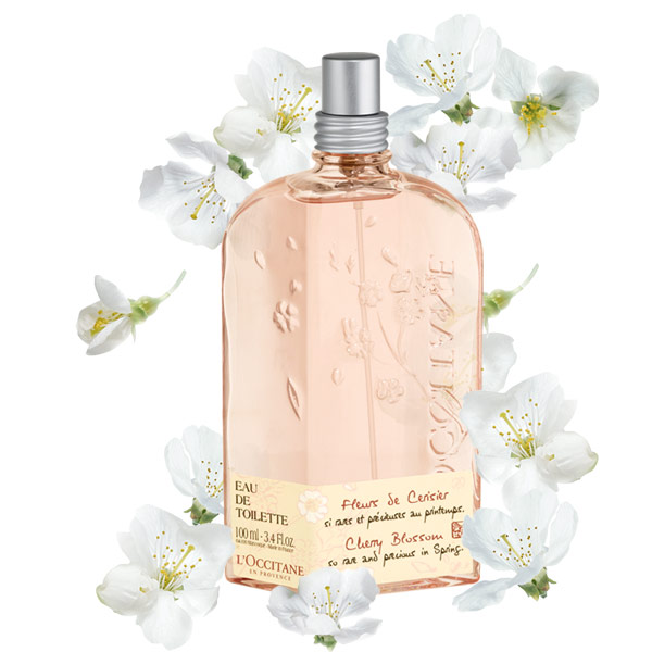 Pandora`s Box L'Occitane Cherry Blossom Perfume Review