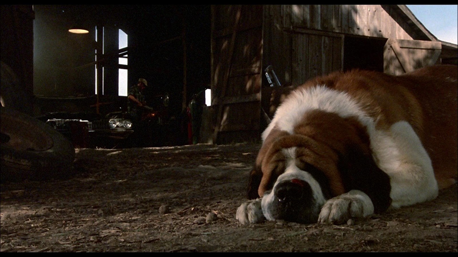 ...and we don't see Cujo again... 