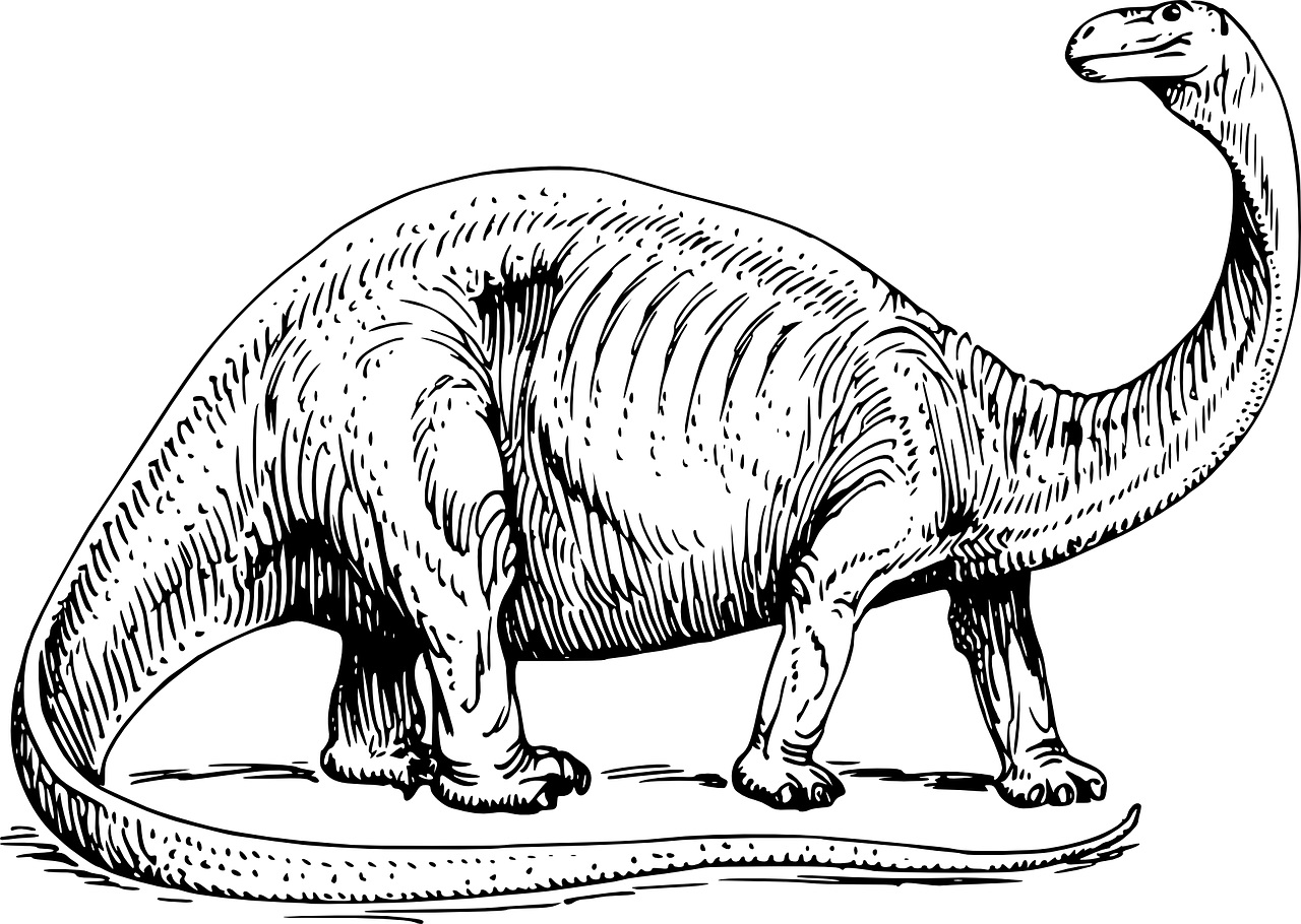 desenho-de-dinossauro-brontosaurus-47866_1280-clker.jpg