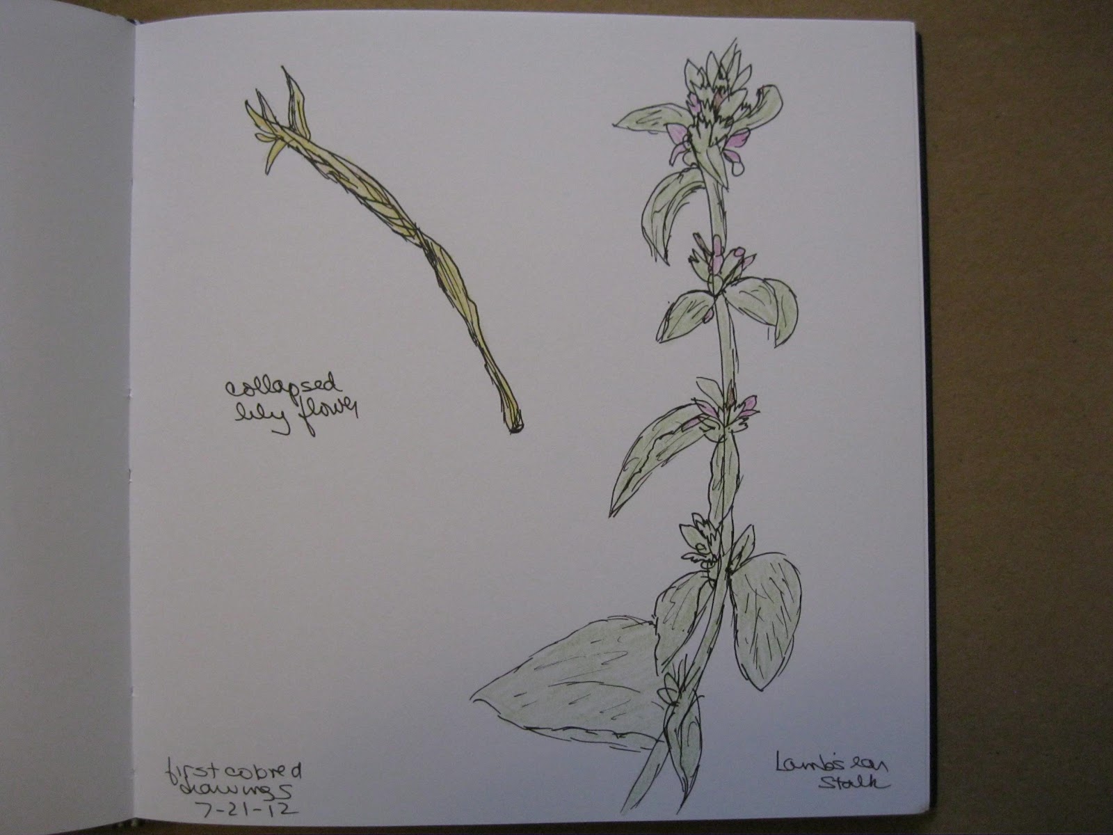 Studio Notes Beginning to draw