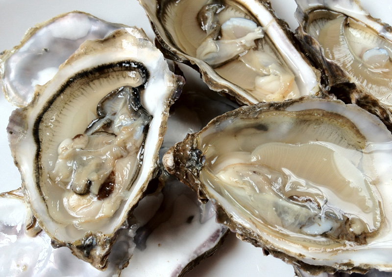 Free From G. Oysters Gluten Free Goodness