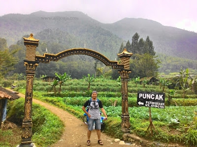 Jalur masuk pendakian andong pagi hari