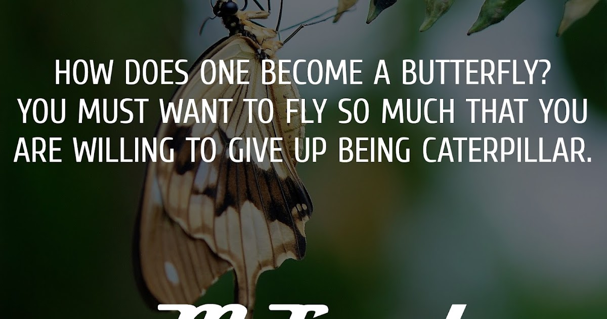 How does one a butterfly? You must want to fly so much that you