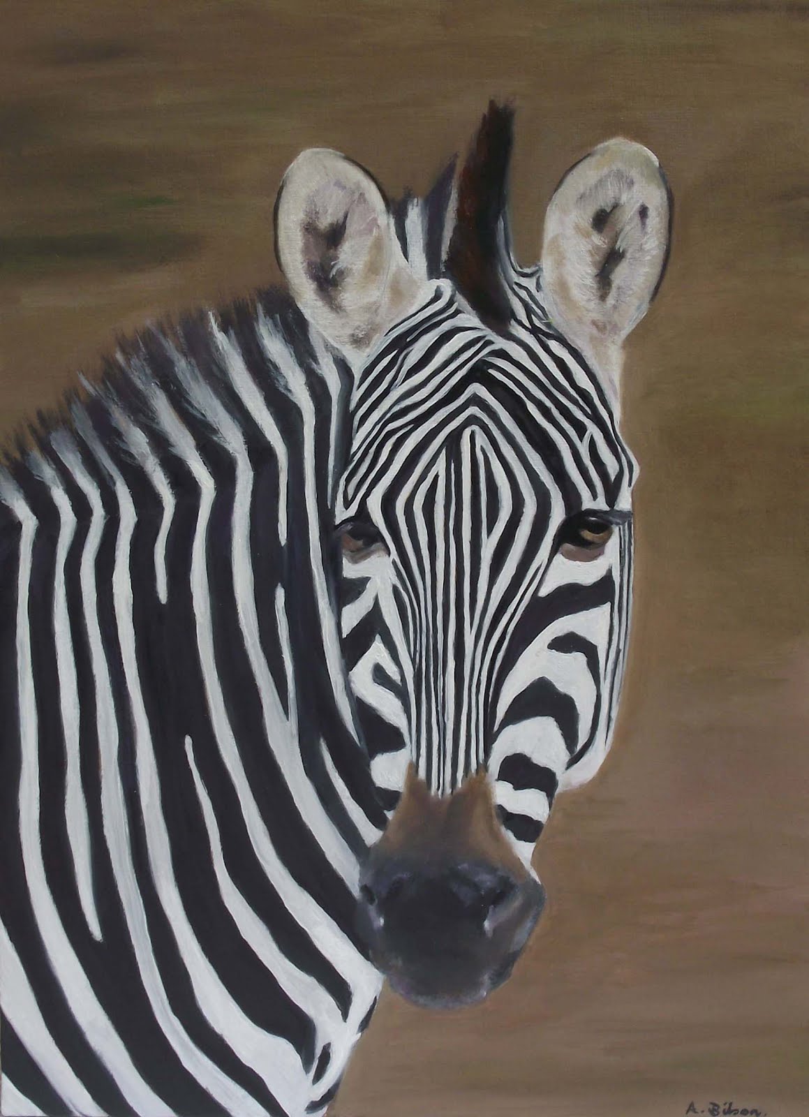 gambar hewan - foto zebra