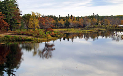 A Beautiful Fall Scene Reflected in the Water