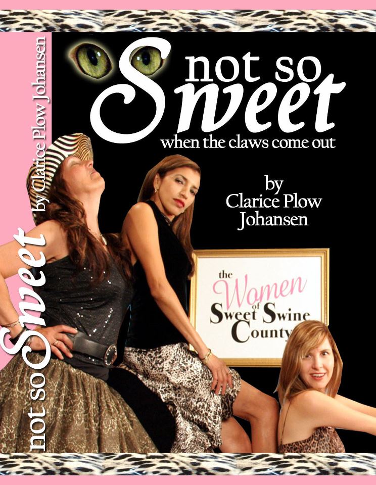 Author Clarice Plow Johnsen is sure to get sued with this page-turner!