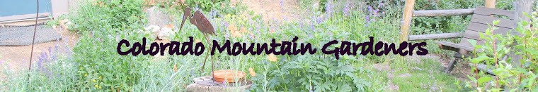 Colorado Mountain Gardener
