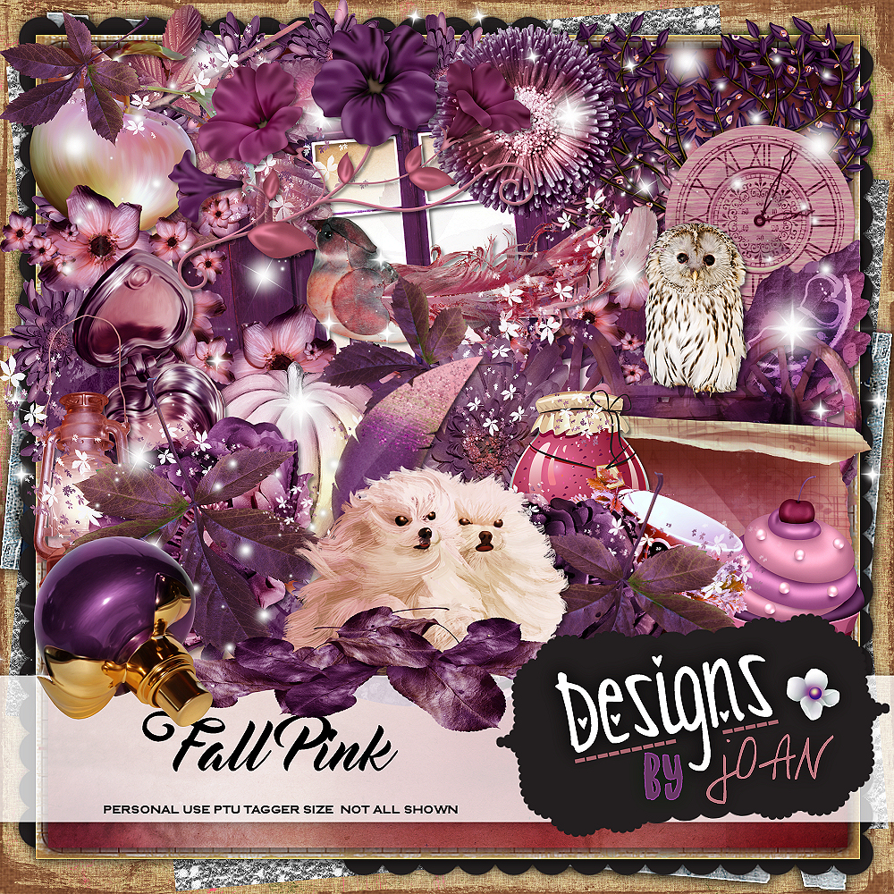 CharRose Designs ♥♥CT for Designs by Joan (Kit Fall Pink)♥♥