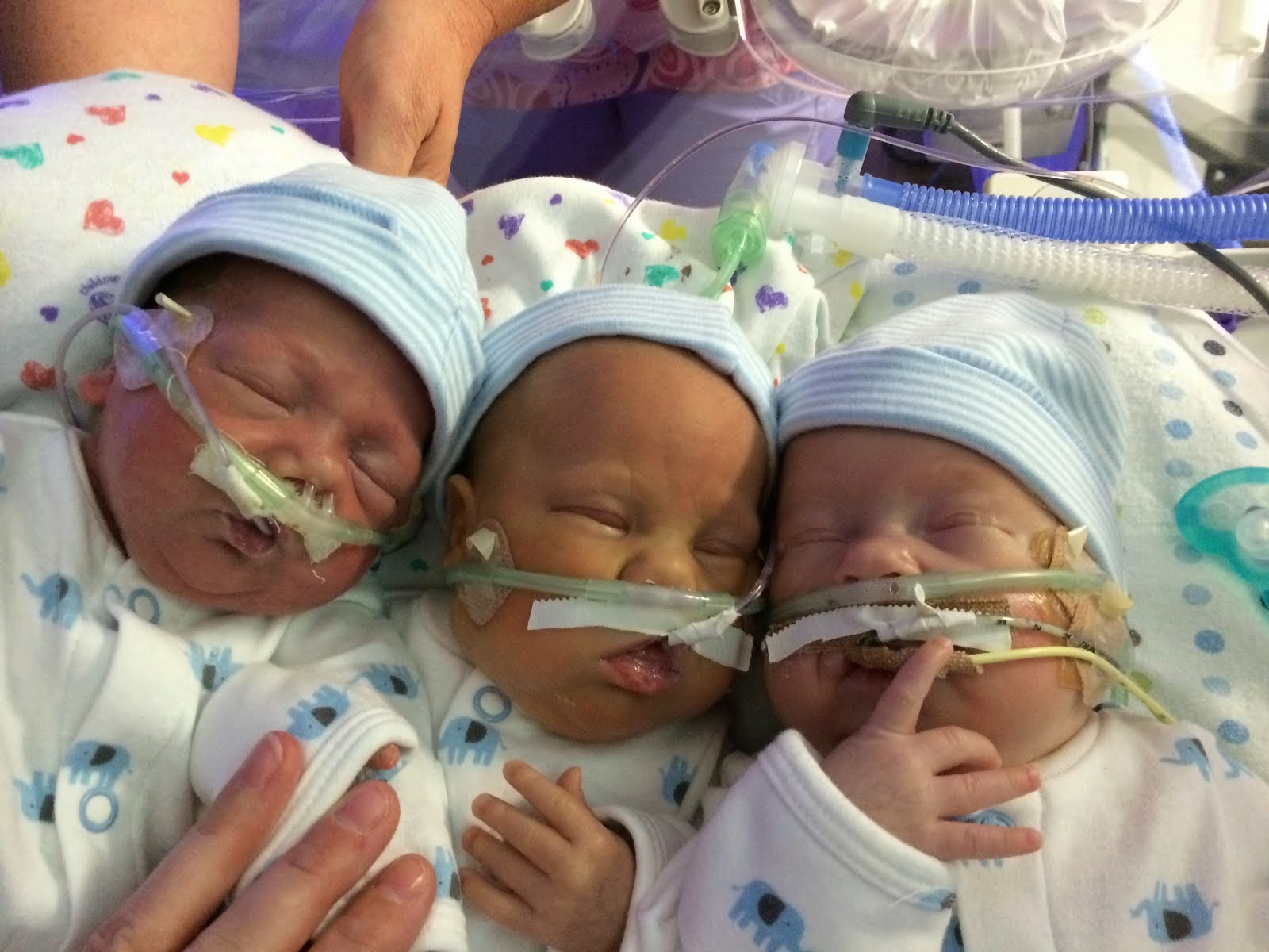 Mason, Logan, and James - 2 Months Old. First Photo Together!