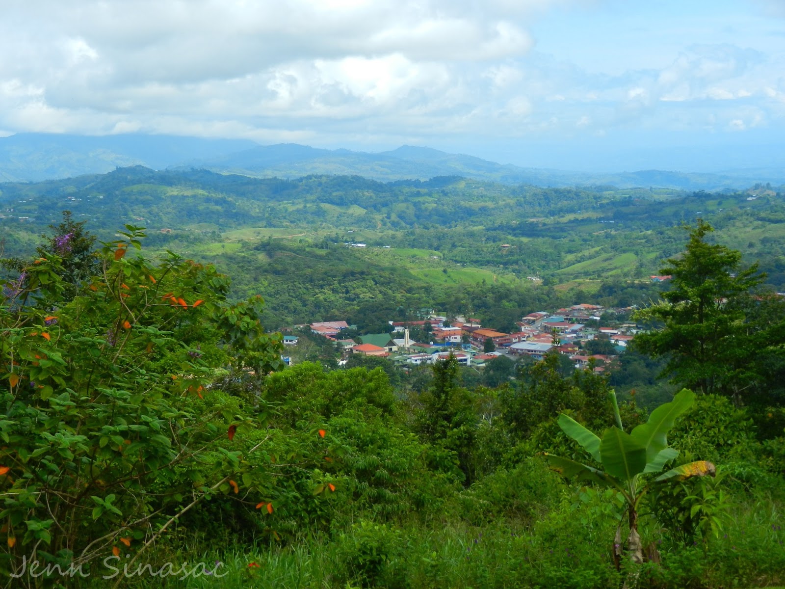 Experience Nature Avian Monitoring with the San Vito Bird Club in