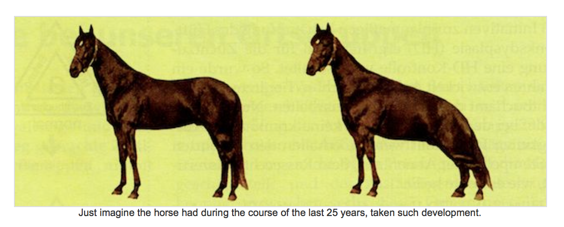 horse+gsd.png
