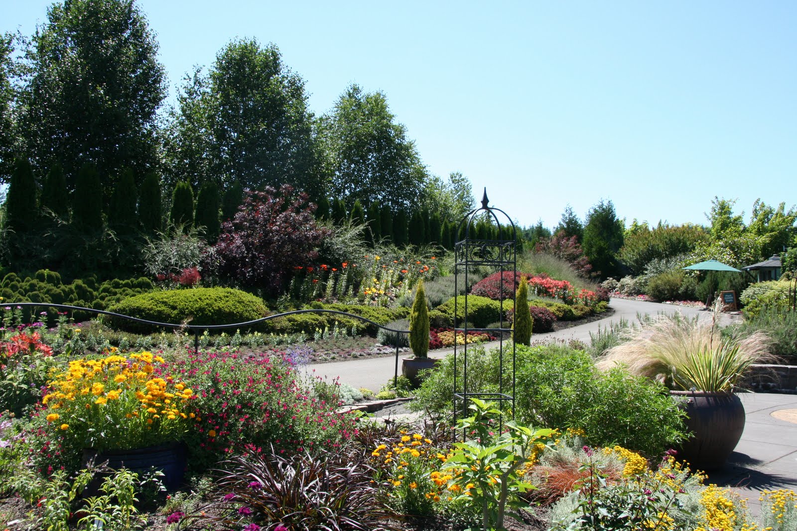 Daffodils & Daydreams: Garden Visit – Oregon Garden in Silverton, Oregon