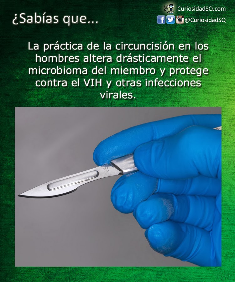 Sabías que La práctica de la circuncisión en los hombres altera