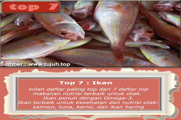 top 7 Ikan Top 7 Makanan Nutrisi Terbaik Untuk Otak