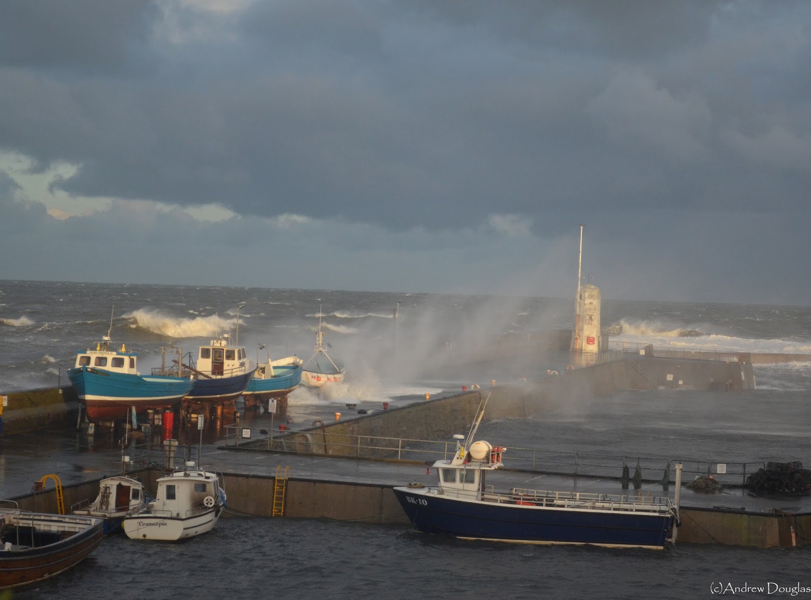 Seahouses Tidal Surge Serenity Farne Islands Boat Tours and Trips