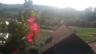 LUNEA FLORILOR