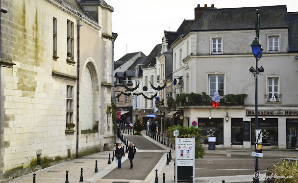 Amboise Valea Loarei Franta