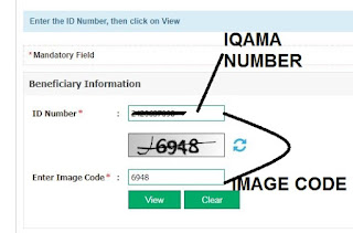 Saudi Iqama Helper Check Your Traffic Violation Online With