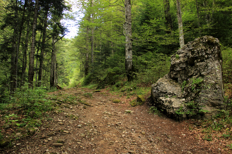 Drumetii Moldave Izvorul Muntelui Jgheabul cu Hotar Cabana Dochia