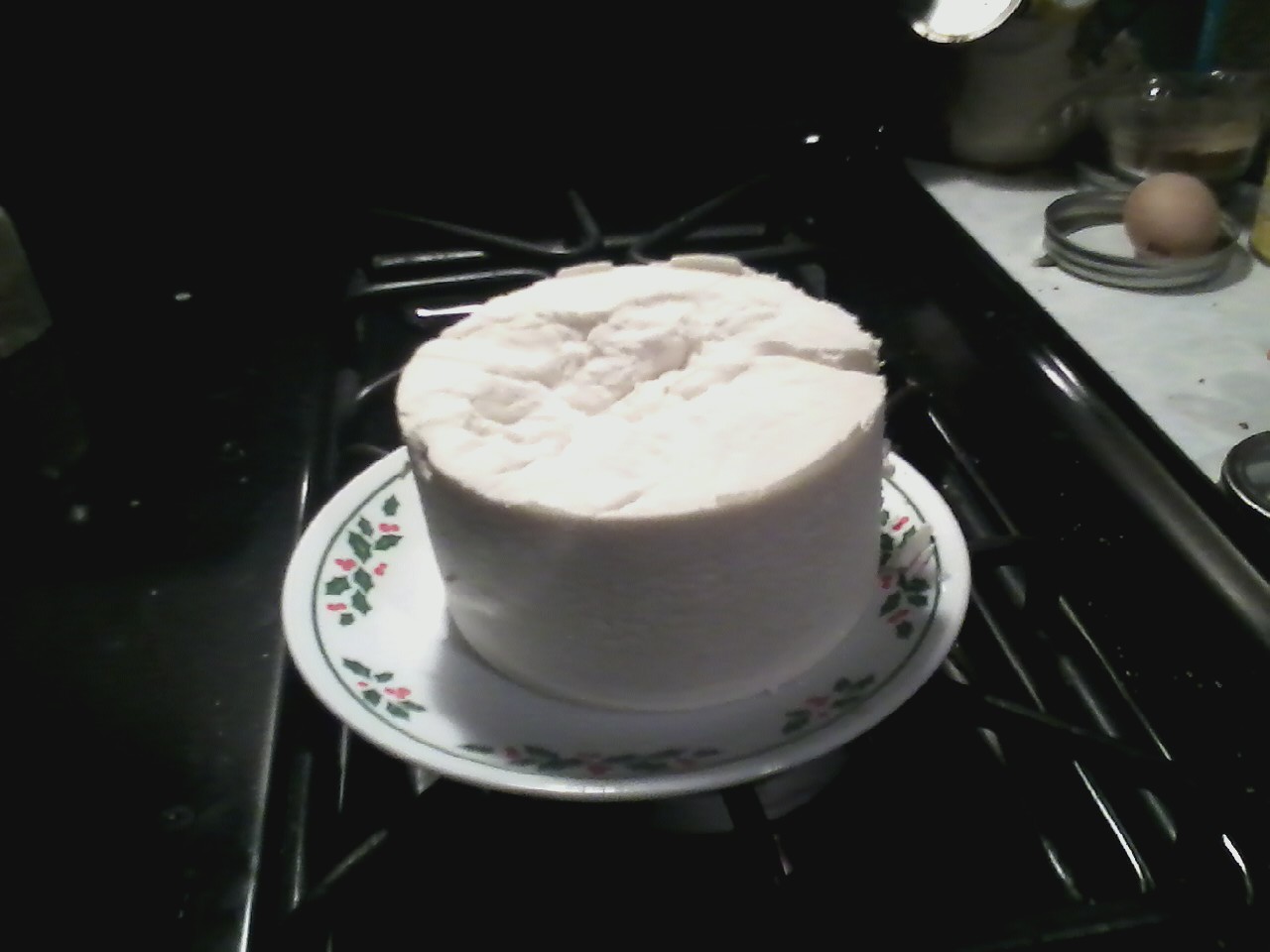 My Baking Adventures Goat's Milk Farmer's Cheese