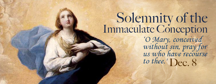 Solemnity of Immaculate Conception Mass Schedule in Donaldsonville Solemnity of Immaculate Conception Mass Schedule in Donaldsonville
