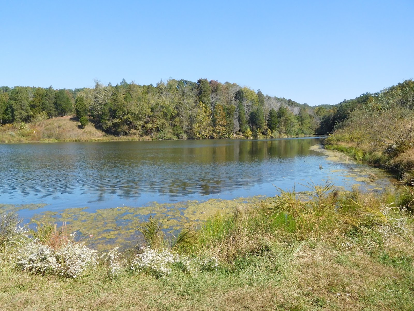 vicarious travelling Ripley, West Virginia Southern McGown Teacher