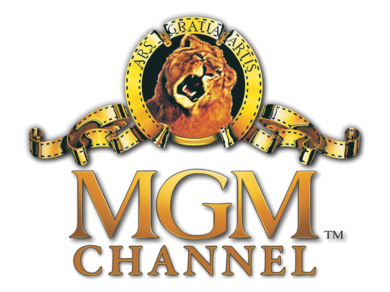 Mgm Studio Logos In 4k