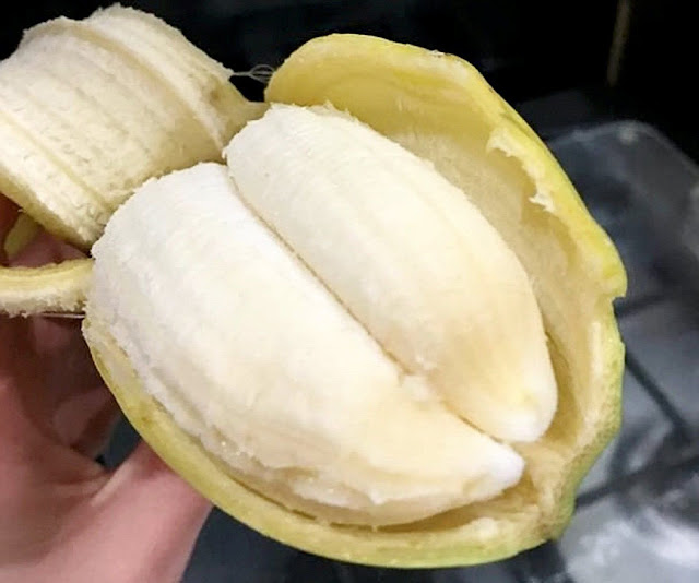 Bizarre ‘double banana’ found inside a single skin Bizarre ‘double banana’ found inside a single skin